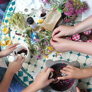 🎨 Atelier Couleurs Végétales 🎨 Atelier Couleurs Végétales