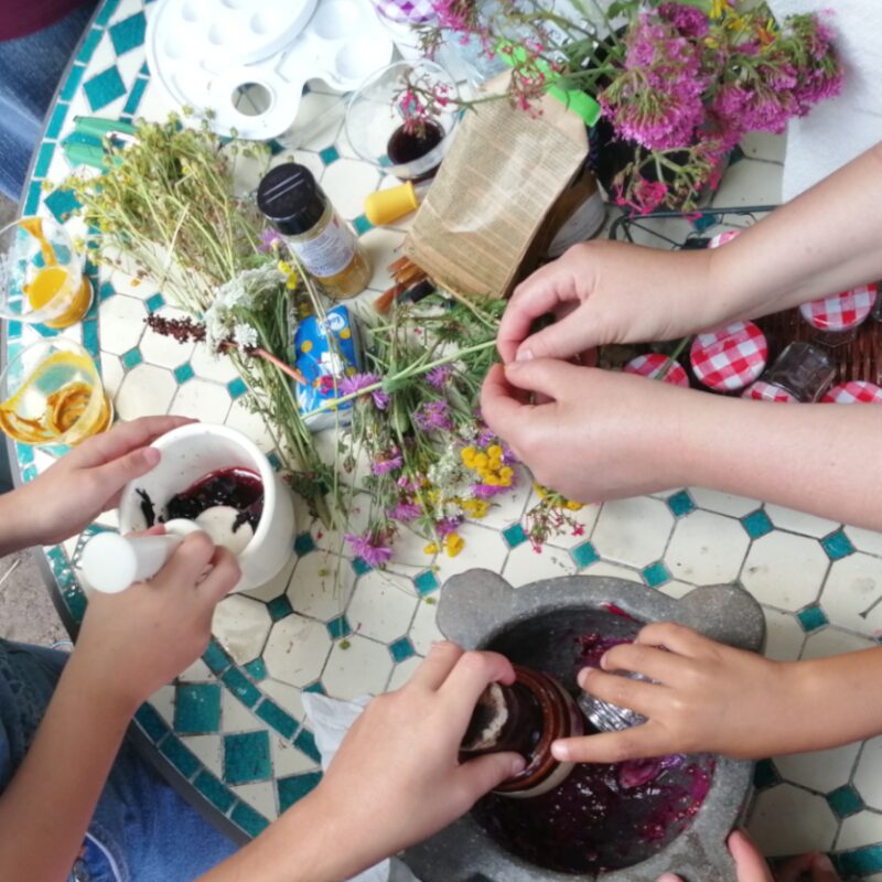 🎨 Atelier Couleurs Végétales