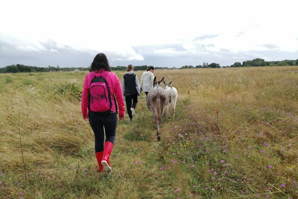 🥾Mini rando à pied avec les ânes