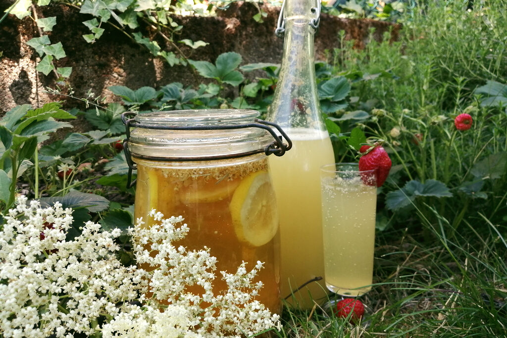 🍇 Atelier Cueillette & Transformation