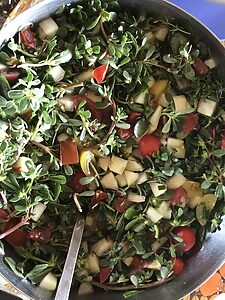 🍓 Atelier Cueillette & Brunch