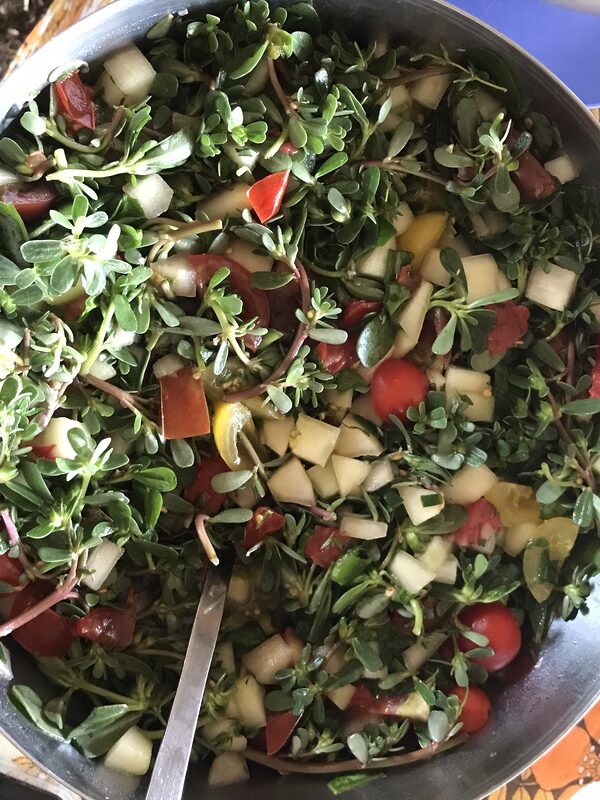 🍓 Atelier Cueillette & Brunch