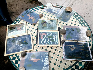 🌿 Atelier Cyanotype 🌿 Atelier Cyanotype
