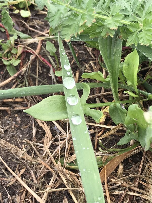 🌸Expériences sensorielles en nature 🌸Expériences sensorielles en nature
