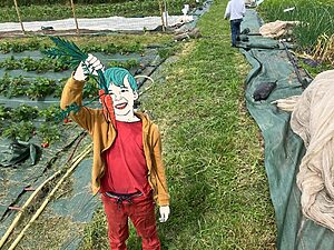 🍅 Visite gourmande du jardin