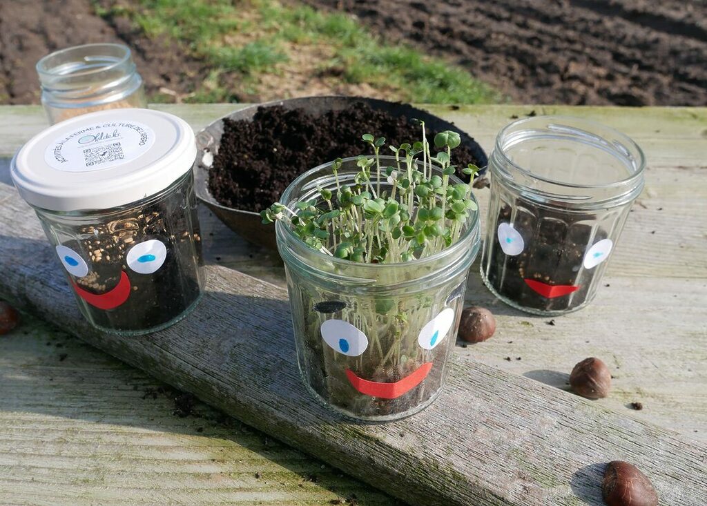 🌱 Découvrir le cycle de vie des plantes