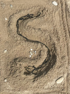 97S